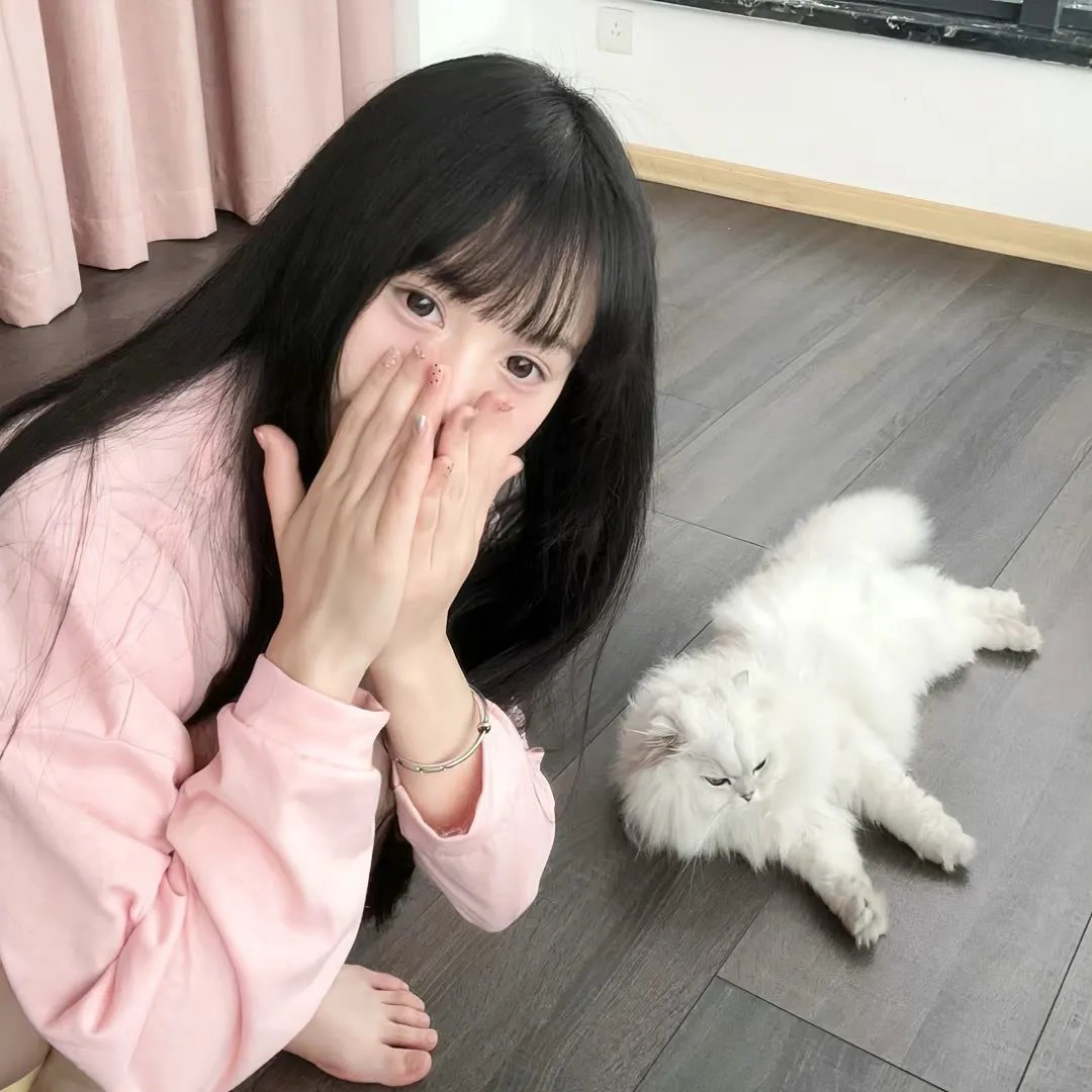 至善至美 在线观看