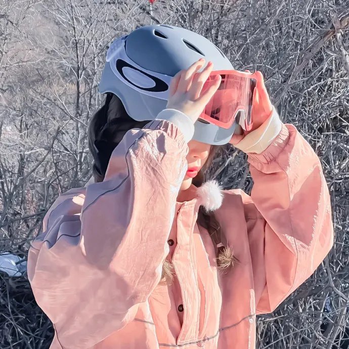 阿丽塔:战斗天使